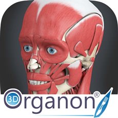 3D Organon Anatomy 3.0.0 ISO 3D Organon Anatomy 3.0.0 ISO