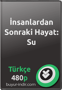 İnsanlardan Sonraki Hayat: Su