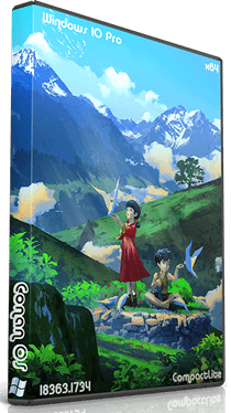 Conan OS Windows 10 Pro 19H2 64-bit