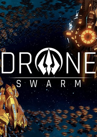 Drone Swarm